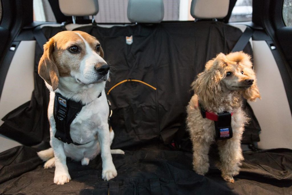 Lemmikki matkustaa turvallisimmin turvavyövaljaissa Lemmikki matkustaa turvallisimmin turvavyövaljaissa